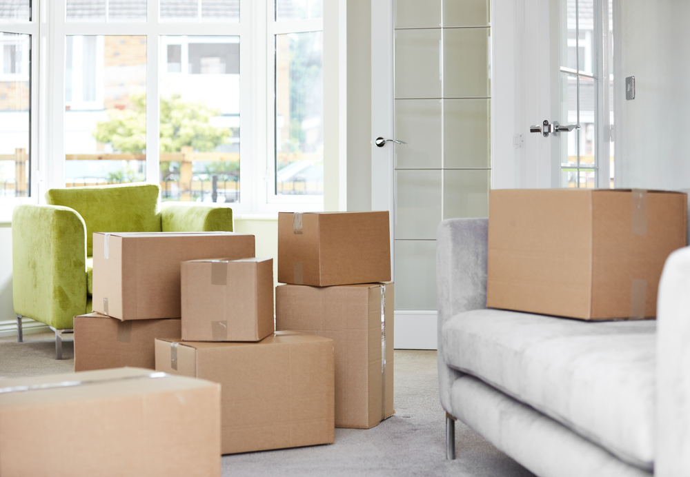 Professionnels utilisant un monte-meubles sur chantier